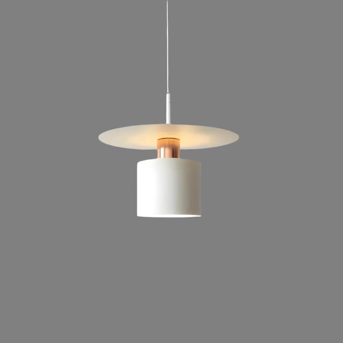 Pendant Light | Modern Minimalist Ceiling Lamp | Metal Dining Room