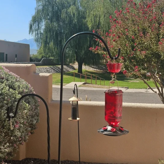 24oz Leak Proof Glass Hummingbird Feeder