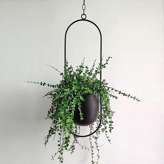 FloraFrame Hanging Planter | Modern Minimalist Iron Design | Wall Organiser Adjustable Hallway