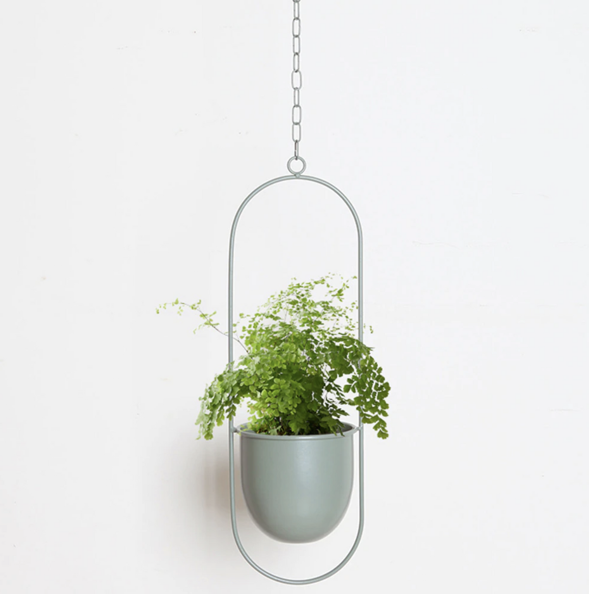 FloraFrame Hanging Planter | Modern Minimalist Iron Design | Wall Organiser Adjustable Hallway