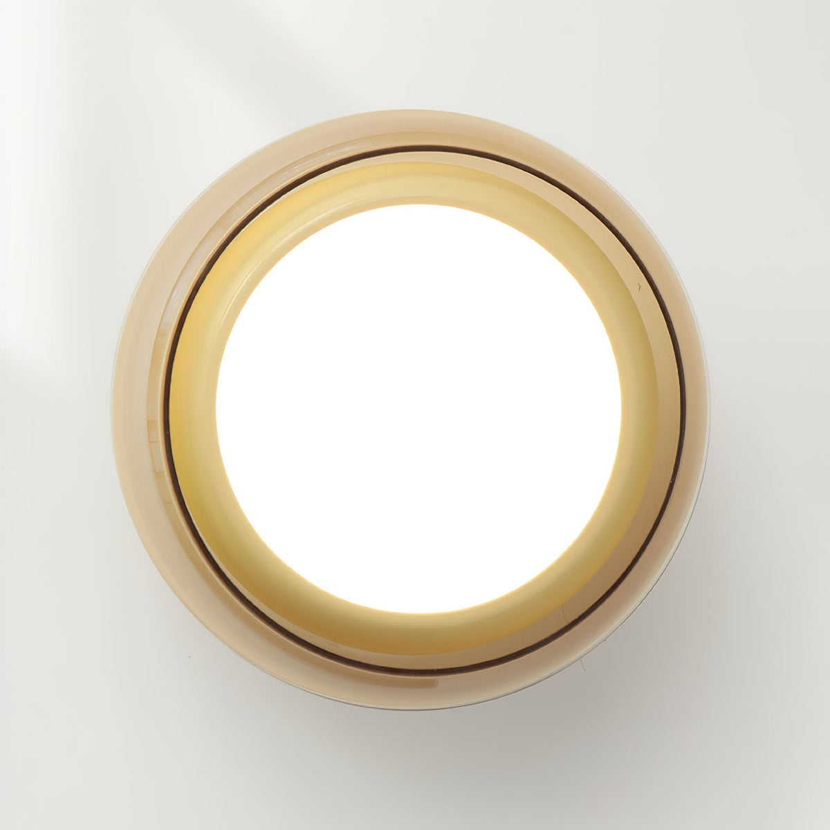 June Retro Glass Flush Mount Ceiling Light | LED Indoor Lamp | Clear Acrylic Nordic Art Deco