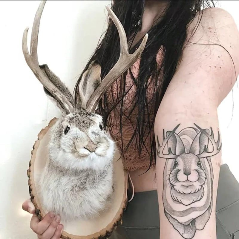 Jackalope Wall Decor