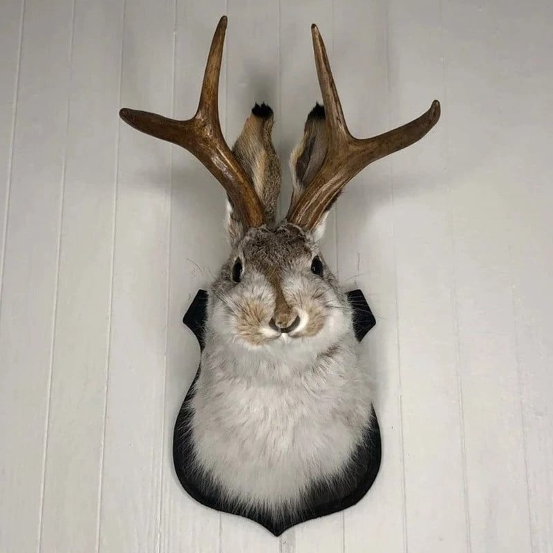 Jackalope Wall Decor