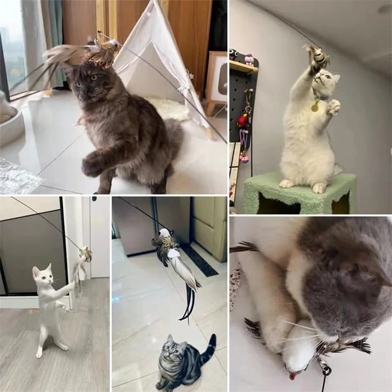 Bird Simulation Toy Set for Cats