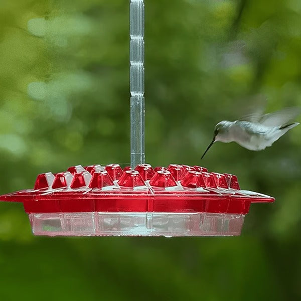 Hummingbird Feeder With Built-In Ant Moat