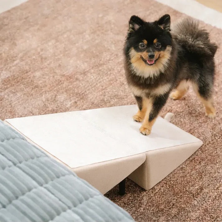 2-in-1 Convertible Dog Ramp and Step Stool