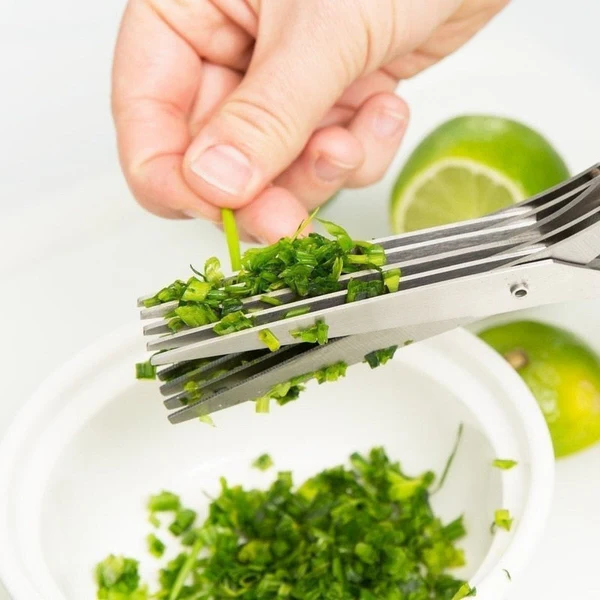 5 Blade Kitchen Salad Scissors